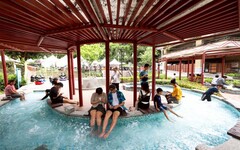 把握最佳賞花期限 上傳合照再送泡湯券