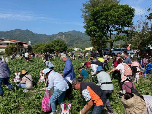 白玉蘿蔔迎來天賜豐收 2025美濃蘿蔔好豆季亮相 冬日限定好味登場