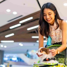 2024年10款寵物推車｜毛小孩出遊必備！