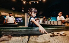 屏東海生館『巨鯨之路』啟航 藍鯨骨骼標本展蘊含生命教育啟發