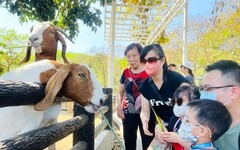 兒童節連假！壽山動物園湧現人潮 把握最後一天免費入園