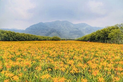 「夏遇．山裡的海」雲品溫泉酒店暑期打造全齡一站式度假天堂