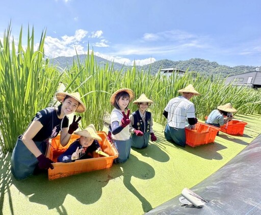 埔里農會茭點女神系列推廣活動 茭你選好筍食農教育體驗