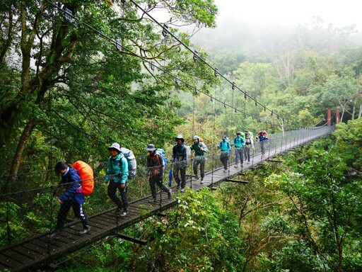 2025年玉山國家公園「拉庫拉庫蕨之旅」 11/1開放報名