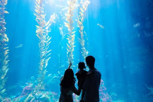 屏東海生館「海寶大冒險」派對 帶領民眾夜探水族館