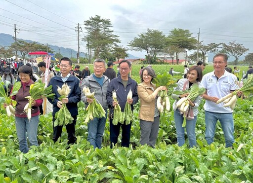 2024美濃白玉蘿蔔還有好豆季熱鬧登場