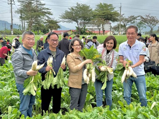 2024美濃白玉蘿蔔還有好豆季熱鬧登場