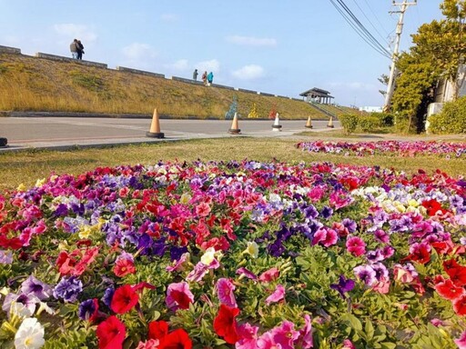 迎春蒔花妝點台中 建設局以繽紛花卉打造市區亮眼