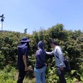 低溫重創荔枝結果 縣府力爭農業部救助穩定農民生計