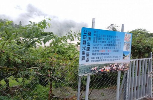 阿里山下番路公田觀光果園 水蜜桃、甜桃及紅肉李開放採果