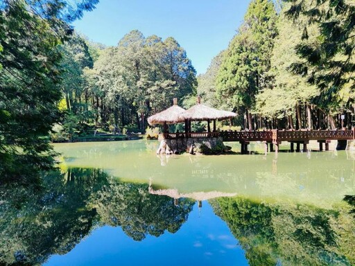 搭乘台灣好行遊阿里山 阿管處抽阿里山賓館住宿券、來回機票