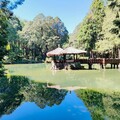 搭乘台灣好行遊阿里山 阿管處抽阿里山賓館住宿券、來回機票