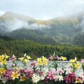 中秋、雙十、光復節連假 阿里山賓館推暢遊親子同遊景點