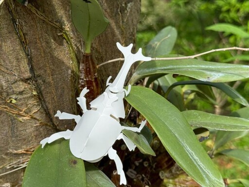 紙雕與昆蟲共舞！成美文化園推親子優惠 打造中部最強親子景點