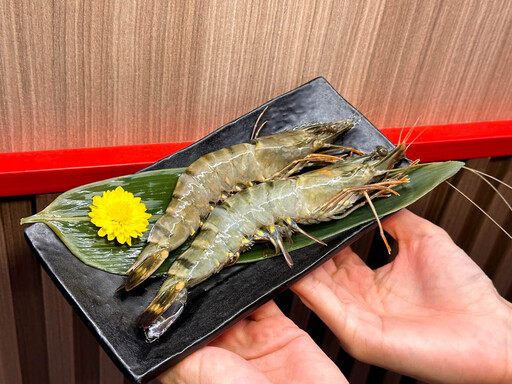 壽星吃鍋、送肉蛋糕!馬辣集團「壽星優惠」螃蟹、鮑魚吃到飽