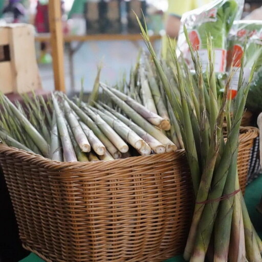 花蓮箭筍脆嫩登場 3/22-3/23臺北花博農民市集邀您品味春季美味