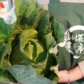 彰化好米鮮蔬直送台北 5/17–5/18花博農民市集熱情開賣！