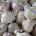 雲林優鮮 蒜味登場！國產雲林蒜頭 花博農民市集新鮮上市