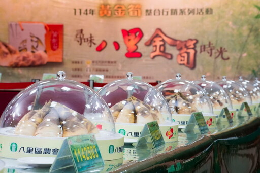 八里區農會舉辦一系列黃金筍推廣活動筍王評鑑率先登場