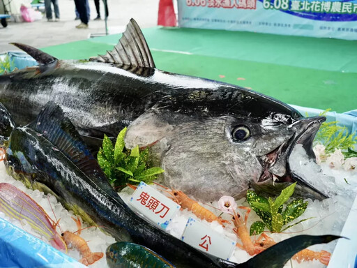臺北花博農民市集-南方澳鮪娓道來推廣行銷活動