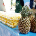 臺東海味鳳梨的香甜滋味 八嗡嗡鳳梨花博農民市集搶鮮上市