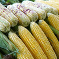 南投香菇、茭白筍直送台北 花博農民市集週末登場