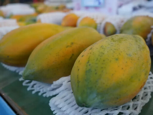 南投好茶・柳丁砂糖橘 × 國產優良禽肉 雙主題齊聚臺北花博農民市集 本週末一次品味在地農業風采