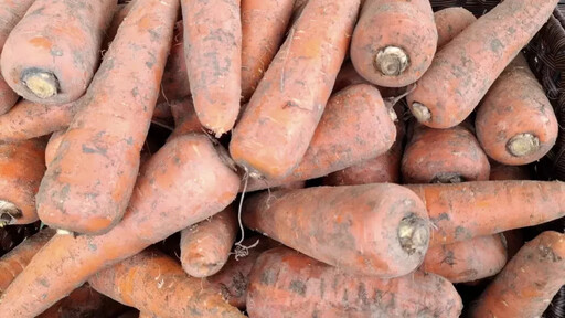 全台好農匯集臺北花博農民市集 產地直送最新鮮