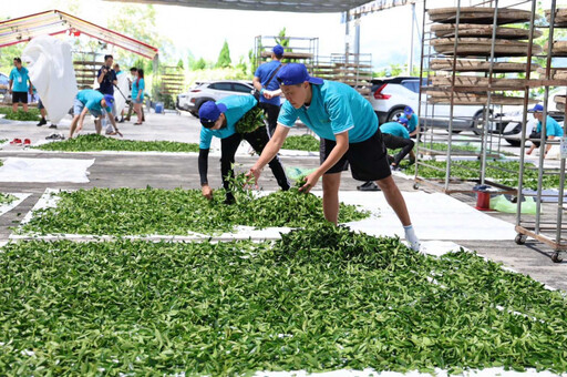 洗產地攻防2/台灣輸美顯示卡消失250億美元「躲在這」! 專家示警兩大不利情境