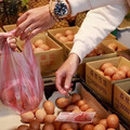 台灣早不缺雞蛋「餐飲業仍賣15元」 老闆親吐現實面：不是做功德