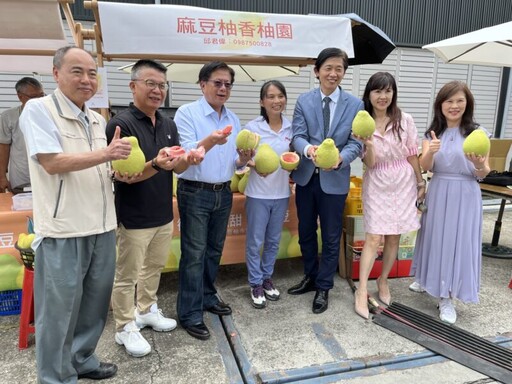 麻豆文旦節9月7-8日柚兒園登場 黃偉哲推薦臺南優質中秋選禮