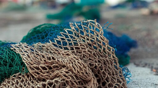 永續漁網