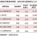 6檔千億高息ETF 00919年化配息率逾12%勝出