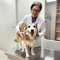 醫療管理跨界出擊 康科特進軍寵物市場