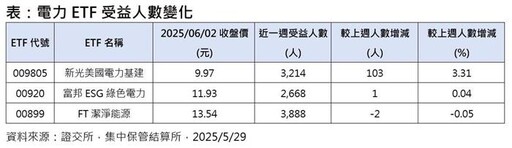 美國電力『核』不濟急 電力ETF大啖缺電商機