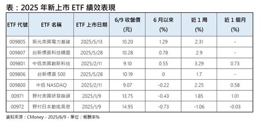 新上市ETF績效比拼 美國電力、科技ETF強彈