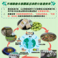 台中外埔綠能生態園區沼液再利用 農作物生長良好
