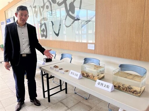 「寶島文蛤」新發現海洋基因體中心大驚喜