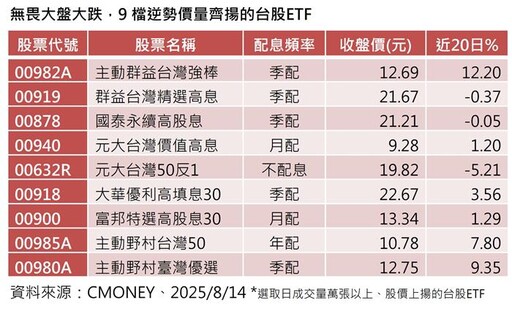 無畏大盤回檔 00982A首配8%逆勢揚