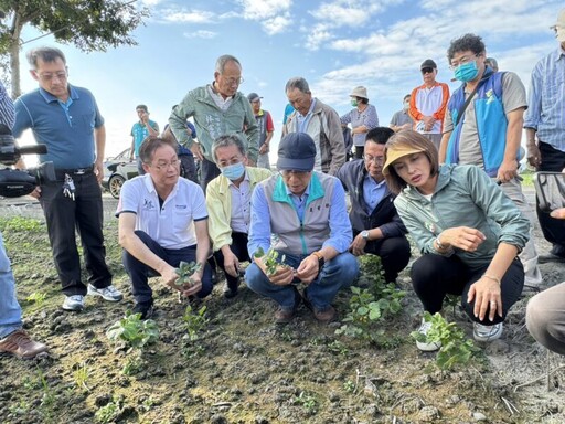 高雄紅豆受災 農業局宣布提供天然災害救助金及低利貸款