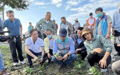 高雄紅豆受災 農業局宣布提供天然災害救助金及低利貸款