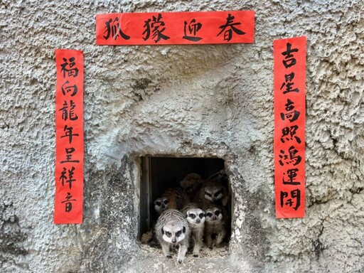 壽山動物園豐盛年節大餐 動物們迎接農曆春節