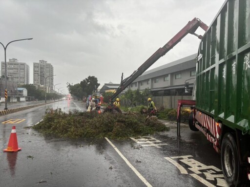 凱米颱風致路樹倒招牌掉 工務局全力動員 預計今晚全數排除