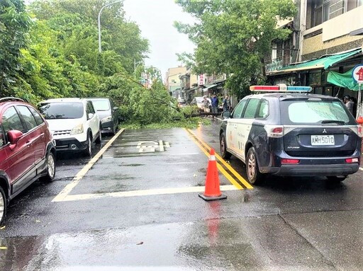 路樹倒塌阻交通 長榮警管制排除路障