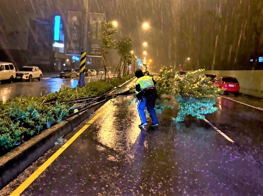路樹、障礙物阻礙道路 八掌警冒颱風天之險盡速排除