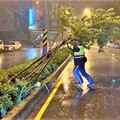 路樹、障礙物阻礙道路 八掌警冒颱風天之險盡速排除