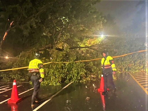 路樹倒塌影響交通 公園警不畏大雨積極處置