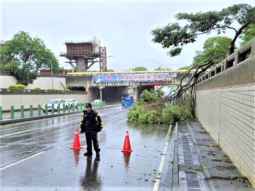 颱風期間路樹倒 後湖警排除路障助平安