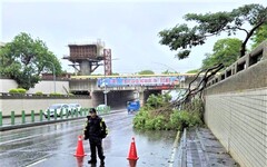 颱風期間路樹倒 後湖警排除路障助平安