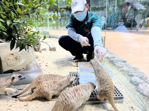 父愛如山！壽山動物園向辛勤的超級動物奶爸致敬